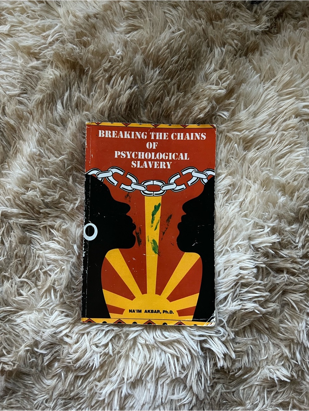 Na’IM Akbar Breaking the Chains of Psychological Slavery — Paperback